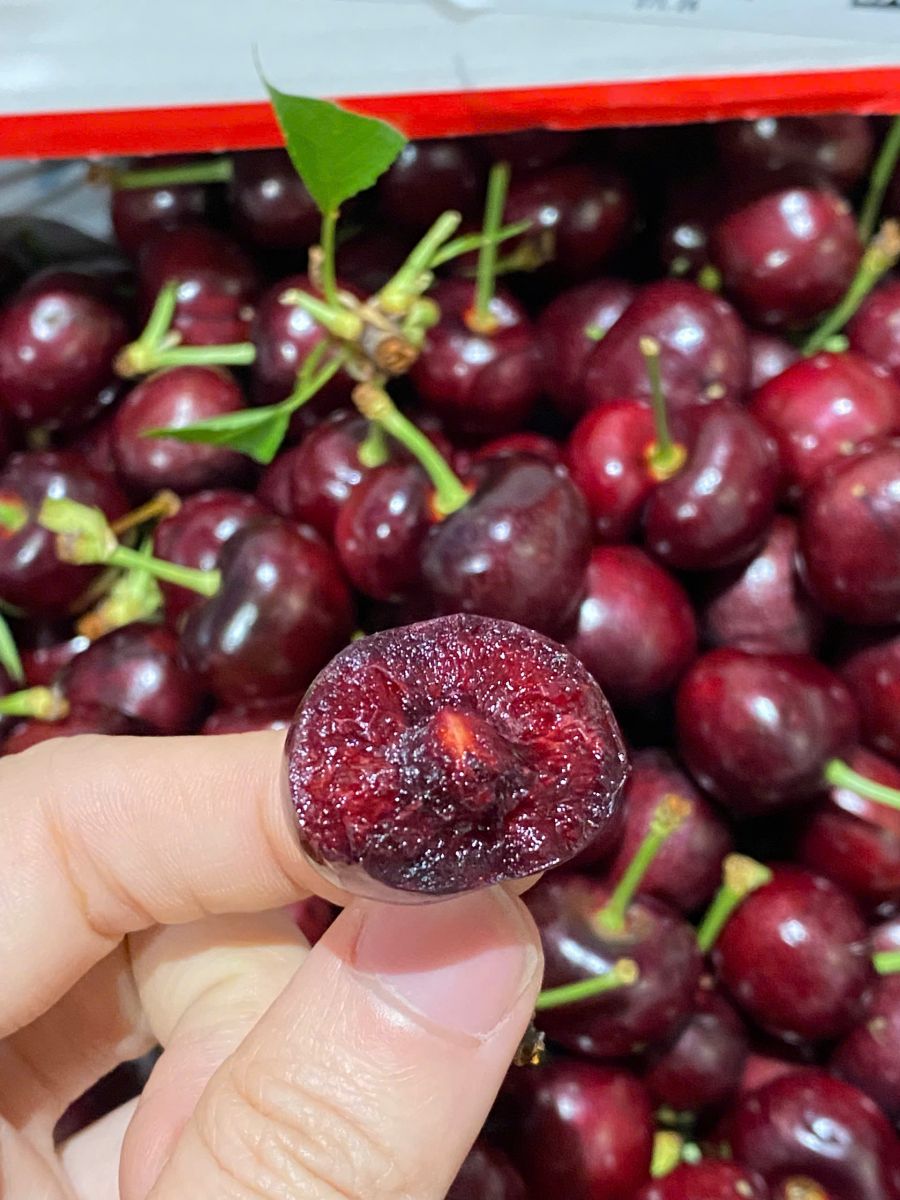 Cherry Mỹ đầu mùa